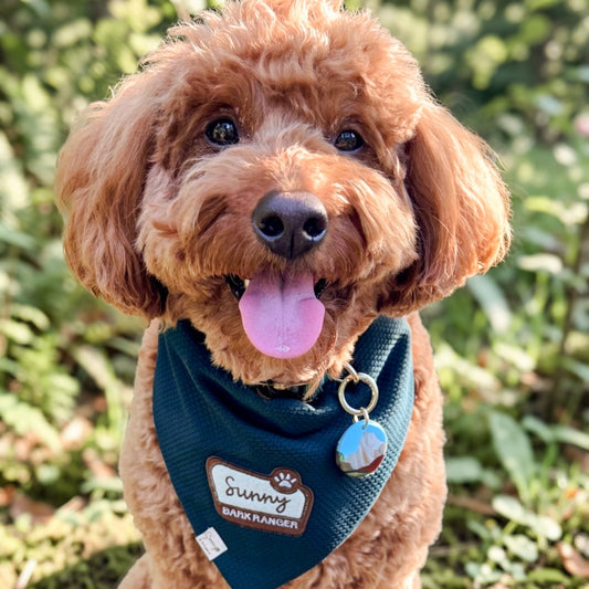 Bark Ranger Dog Bandana