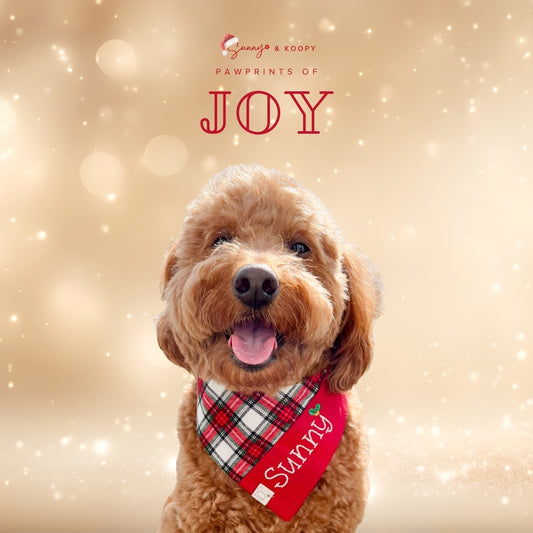 Custom Name Merry & Metallic Dog Bandana (Sunny Cut)