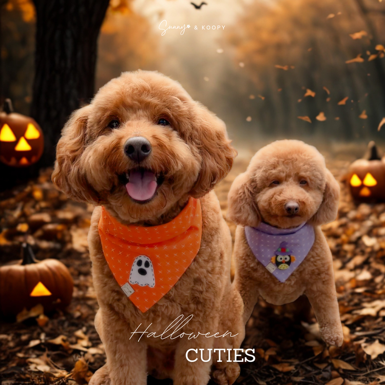 Halloween Cuties