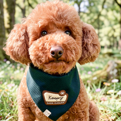 Bark Ranger Dog Bandana