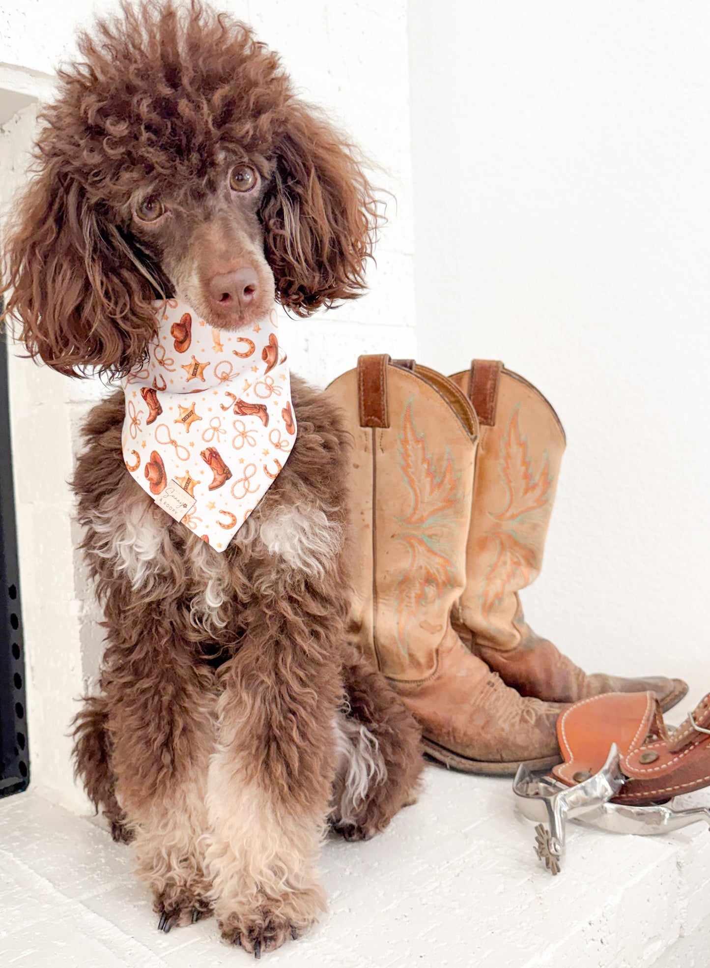 Build Your Own Toy Story Bandana