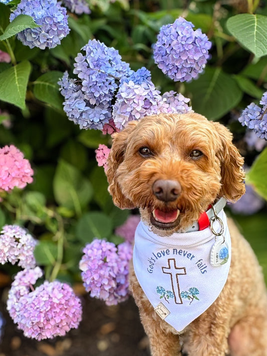 God’s Love Never Fails Embroidered Dog Bandana