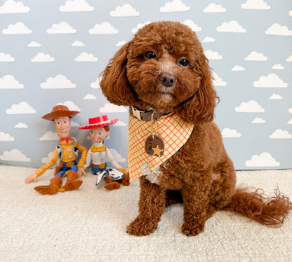 Build Your Own Toy Story Bandana