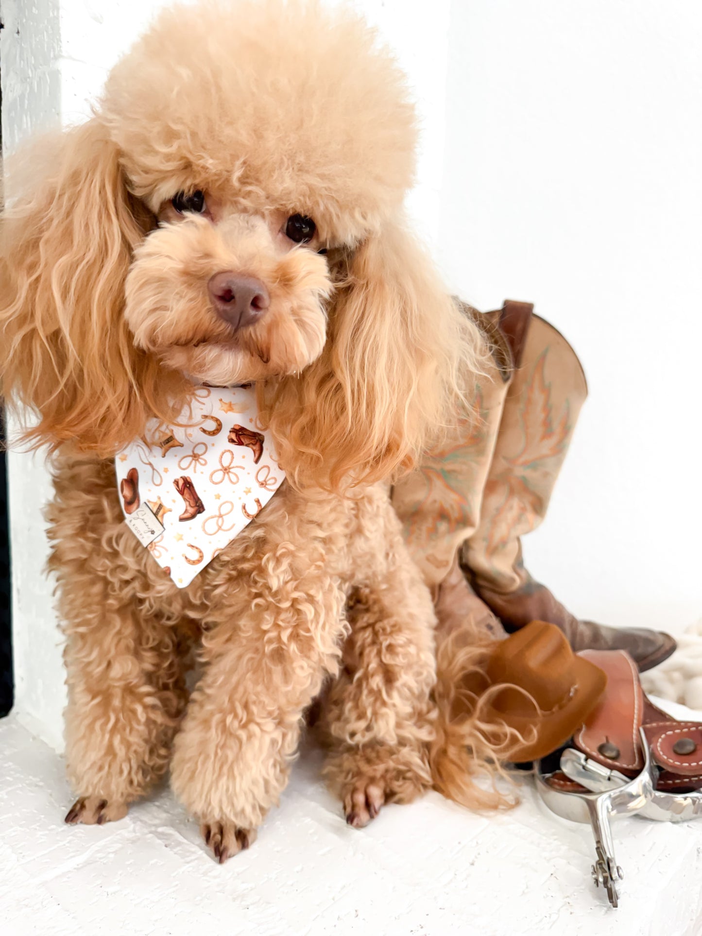 Build Your Own Toy Story Bandana