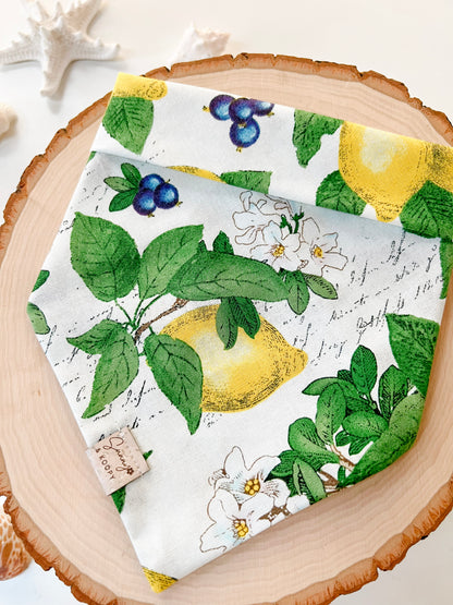 Lemon Blossom Dog Bandana