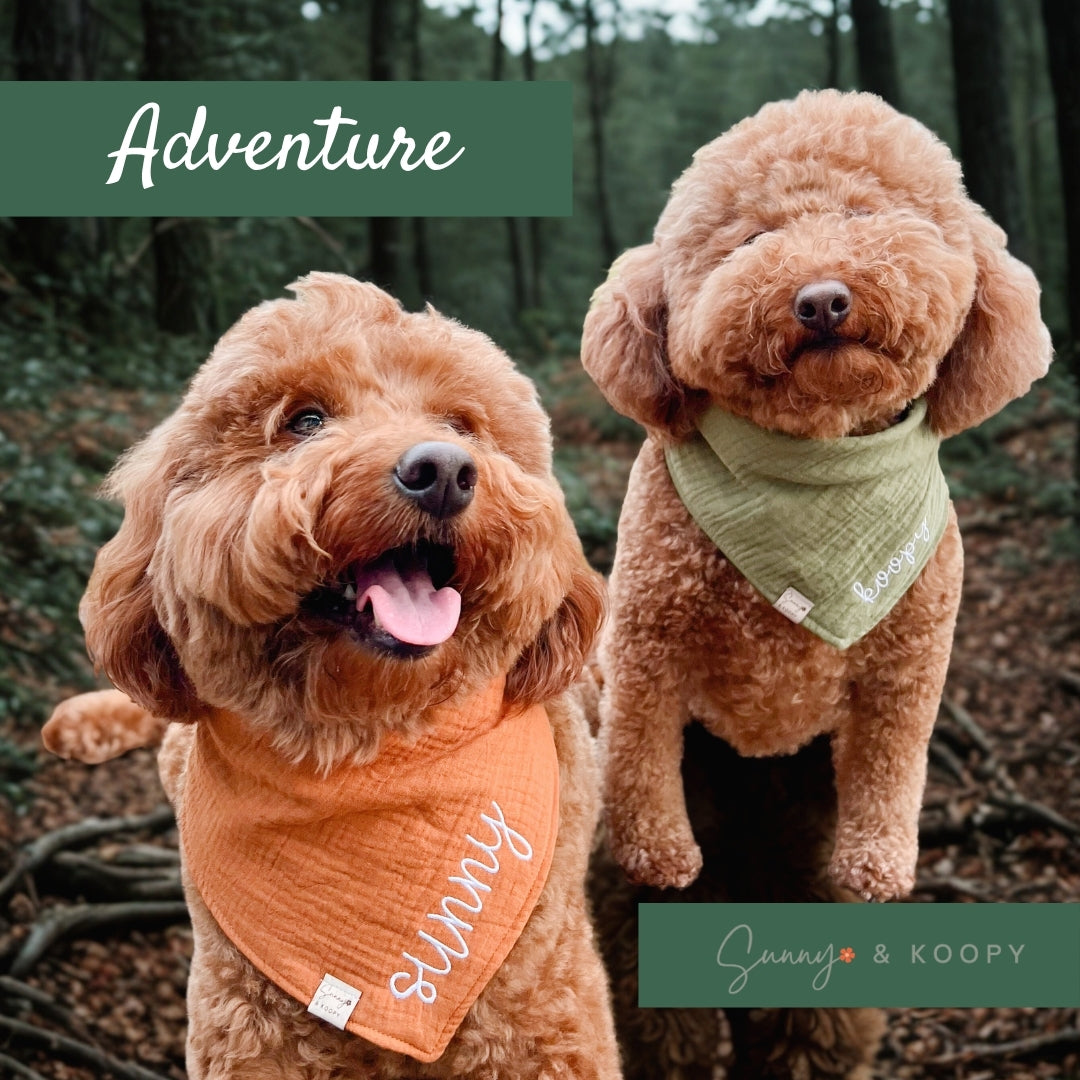 Custom Name Embroidered Gauze Dog Bandana