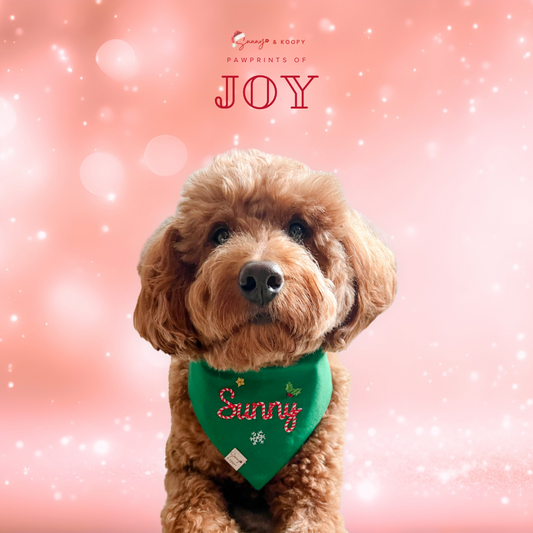 Candy Cane Custom Name Embroidered Dog Bandana