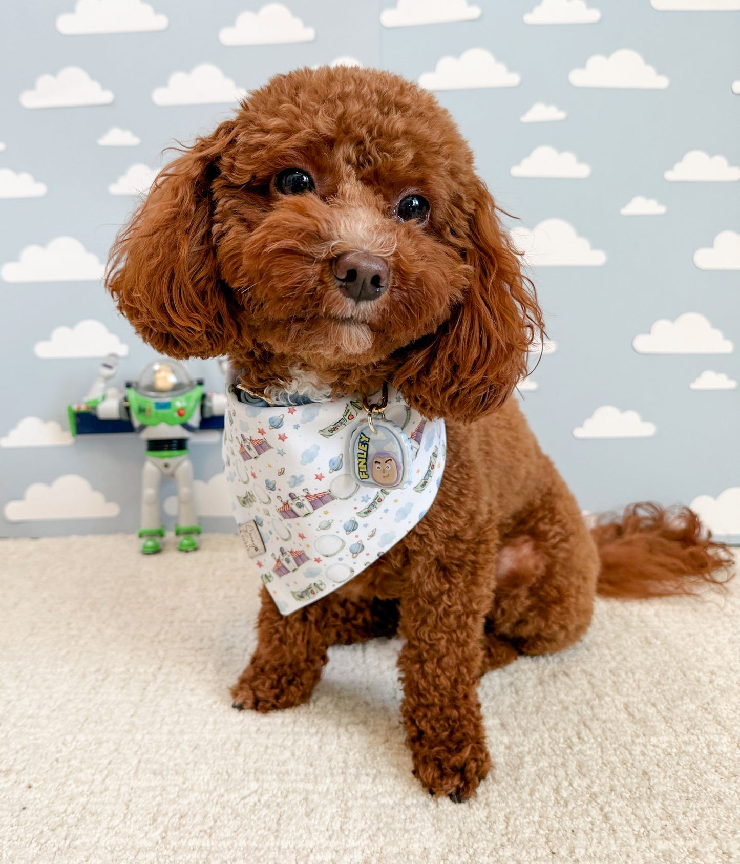 Build Your Own Toy Story Bandana