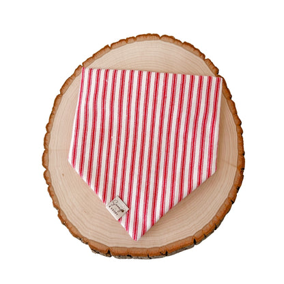 Candy Cane Dog Bandana