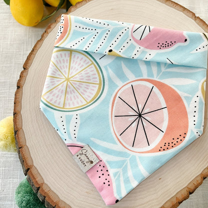Citrus Sunshine Dog Bandana