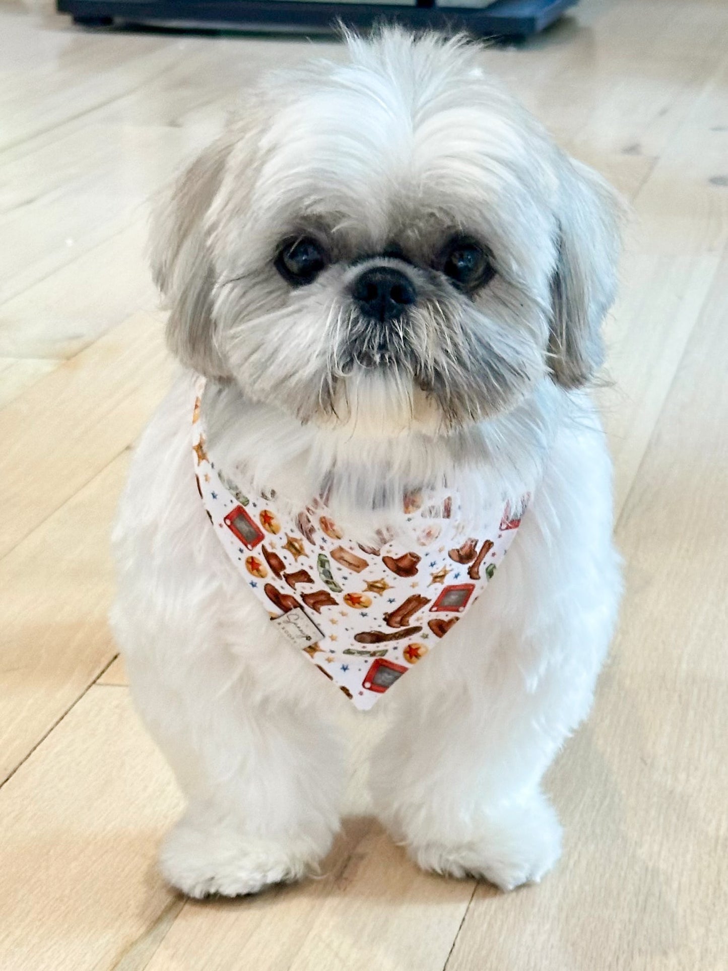 Build Your Own Toy Story Bandana