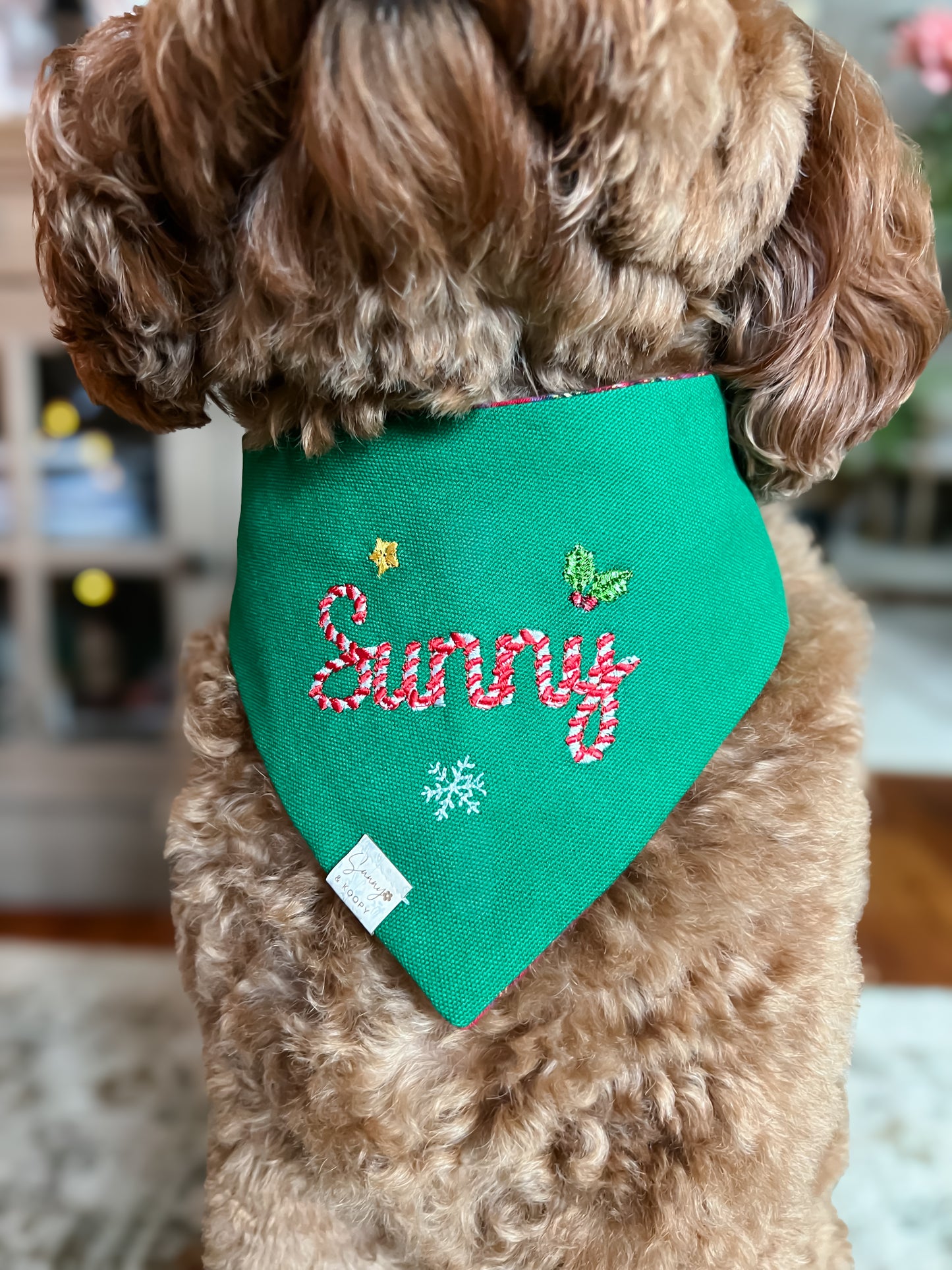 Candy Cane Custom Name Embroidered Dog Bandana