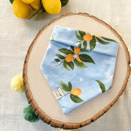 Sunny Squeeze Dog Bandana