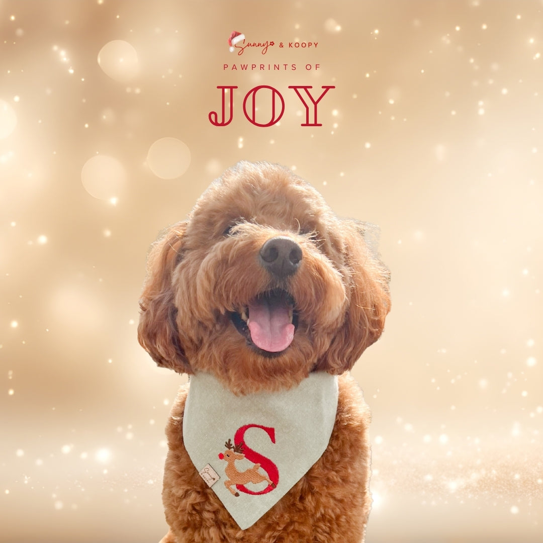 Christmas Monogram Embroidered Dog Bandana