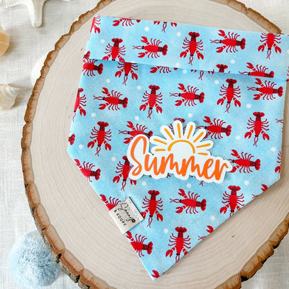 Coastal Claws Dog Bandana
