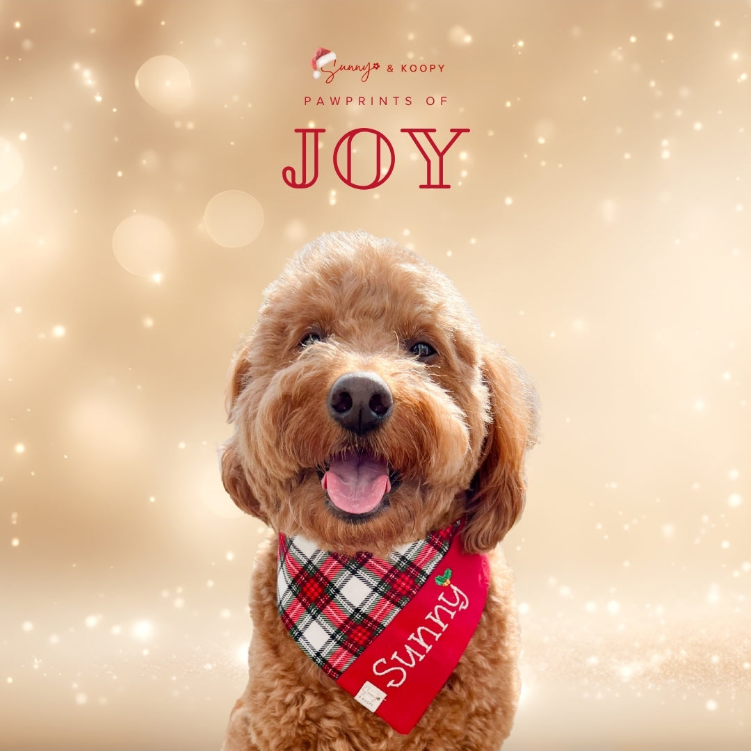 Custom Name Merry & Metallic Dog Bandana (Sunny Cut)