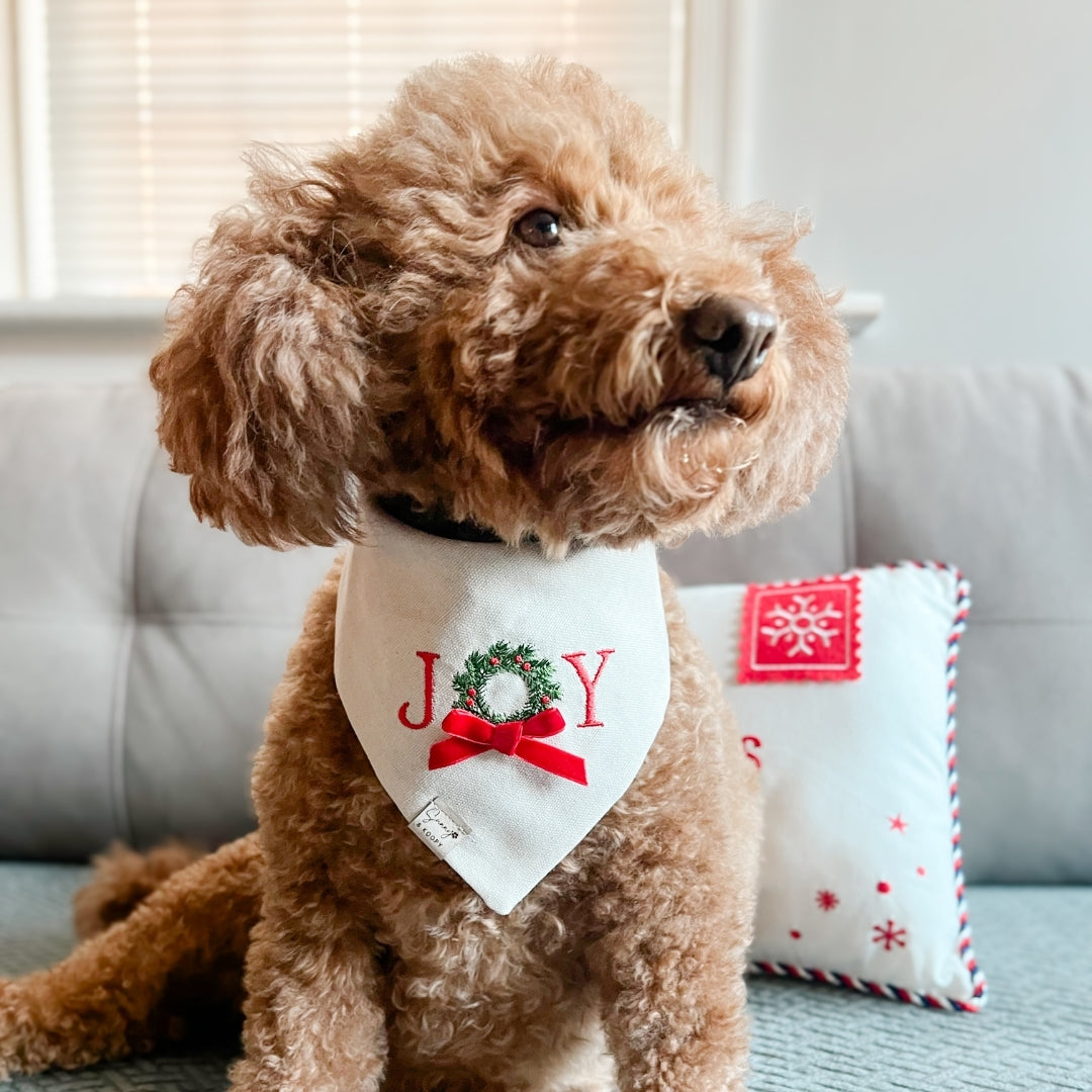 Joy Embroidered Dog Bandana